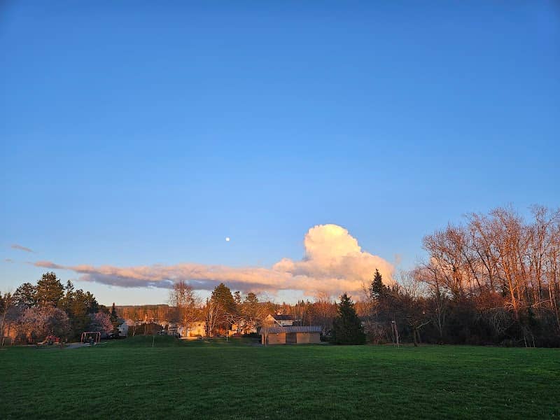 Roosevelt Park - Image 1