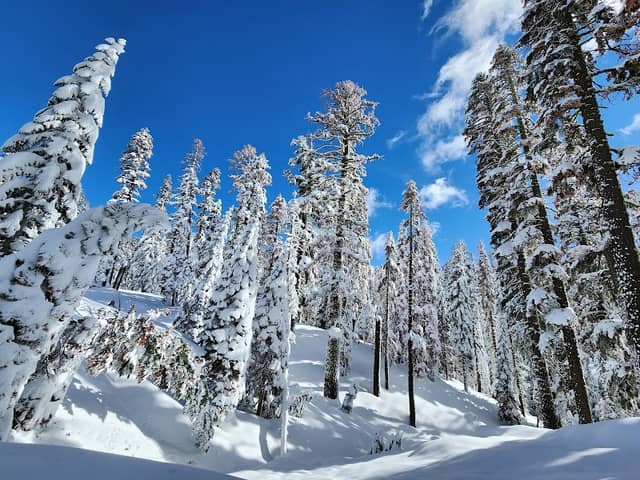 Round Valley Sno-Park - Image 1
