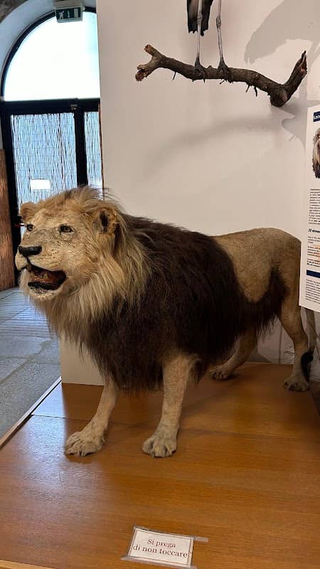 Museo di Storia Naturale "Faraggiana Ferrandi" - Image 1