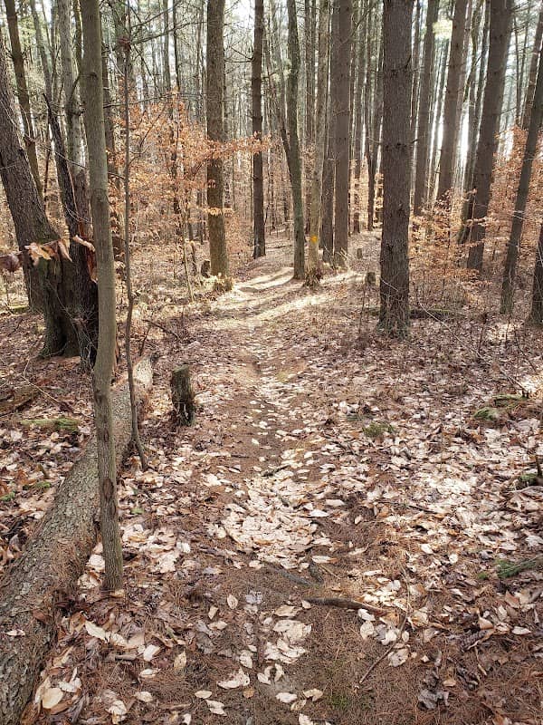 The Wilds MTB Trailhead - Image 1
