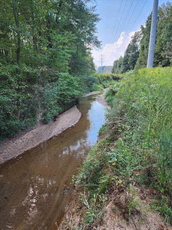 Reeves Creek Trail - Image 1
