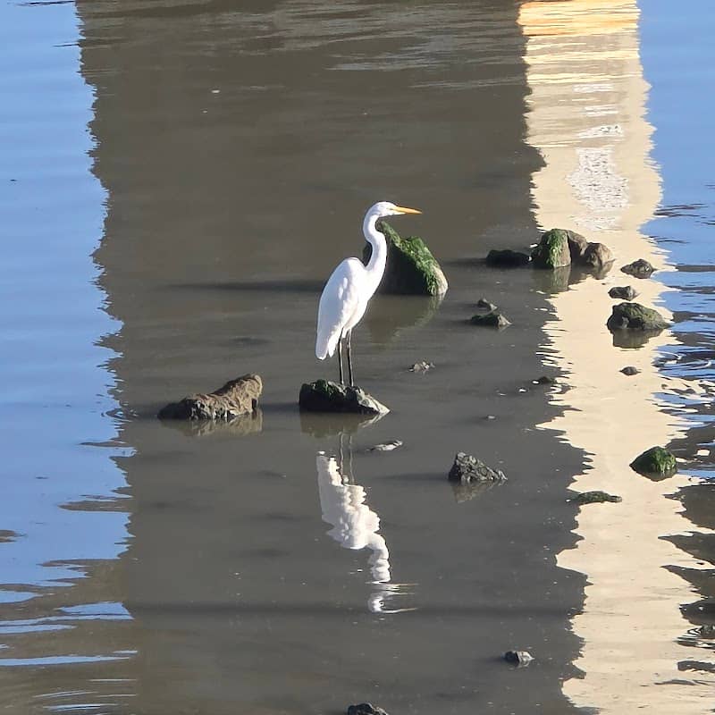 Fremont Fishing Pier - Image 3