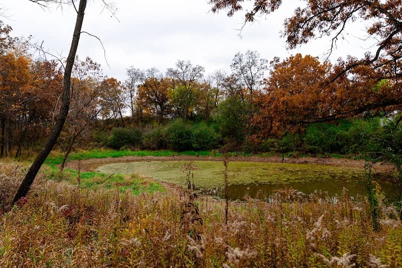 Moraine Kettles Preserve - Ice Age Trail Alliance - Image 2