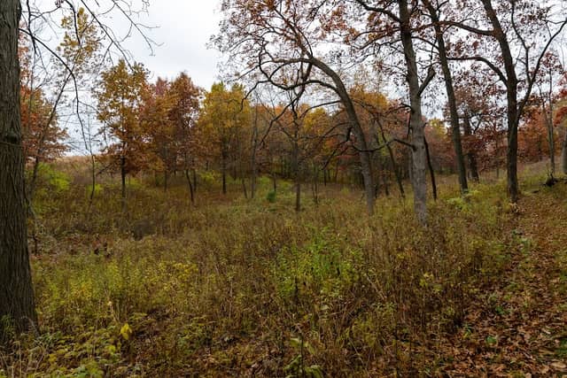 Moraine Kettles Preserve - Ice Age Trail Alliance - Image 1