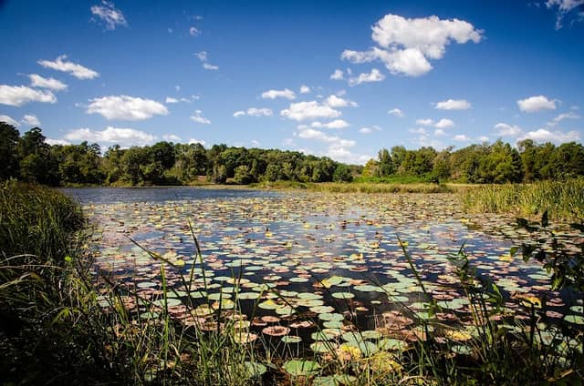 Rusk Park - Image 1
