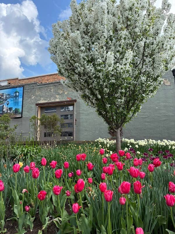 Pocket Park - Image 3