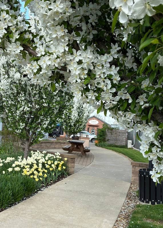 Pocket Park - Image 1