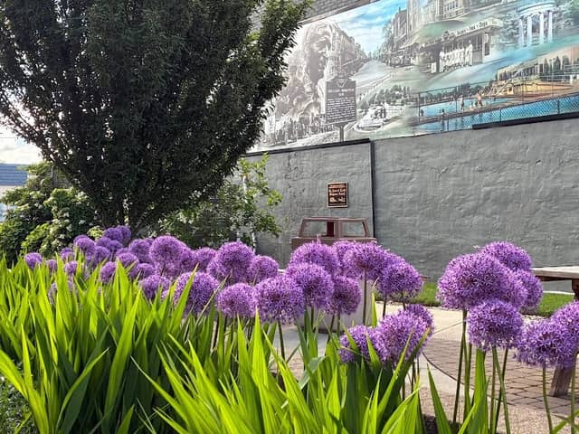 Pocket Park - Image 2