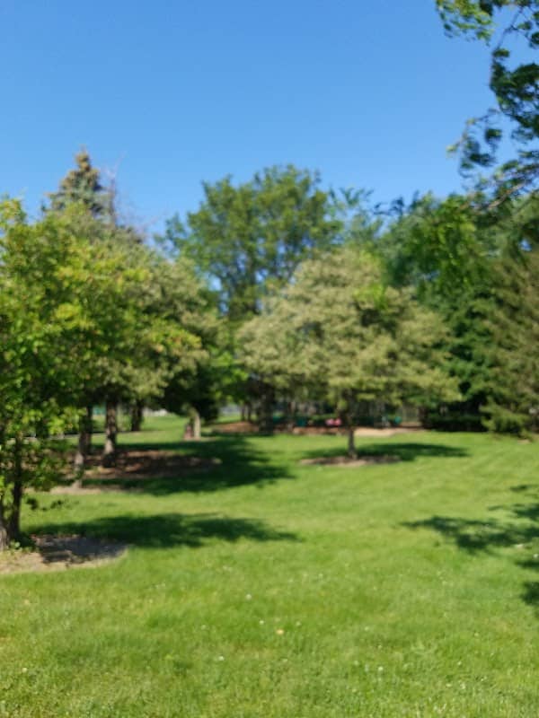 Roseland Park - Bryan Parks and Recreation - Image 2