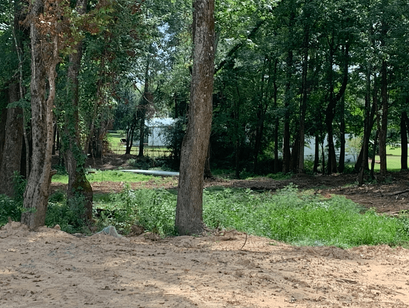 Sand Mountain Park & Amphitheater Hiking Paths - Image 1