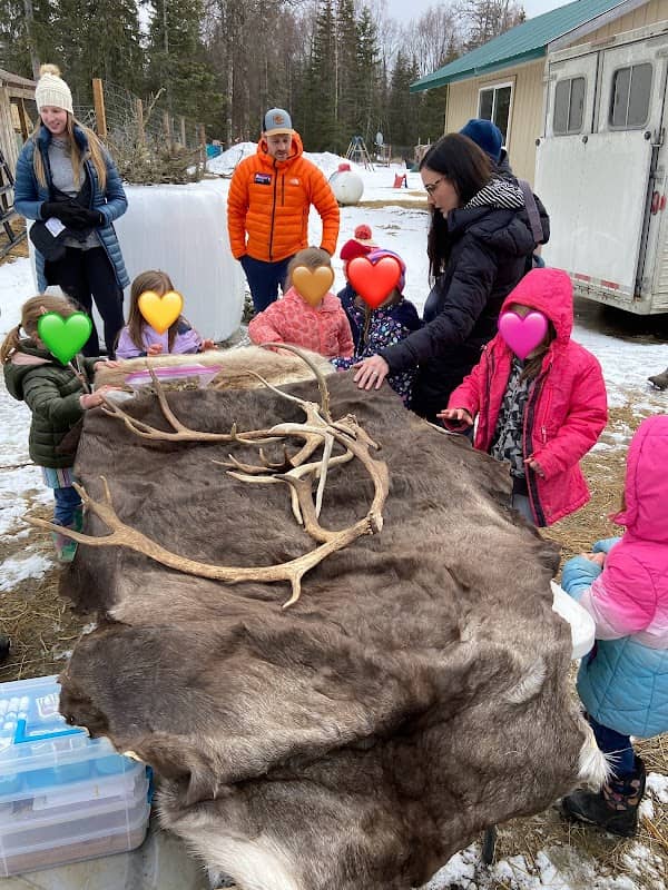 Kenai Reindeer Farm - Image 1