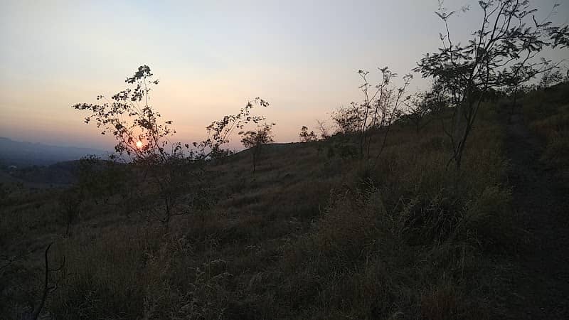 Wagh Donger(Hill) Garden - Image 1