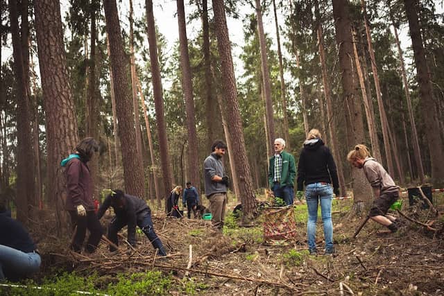 Klimawald Bayreuth 1.0 - Image 1