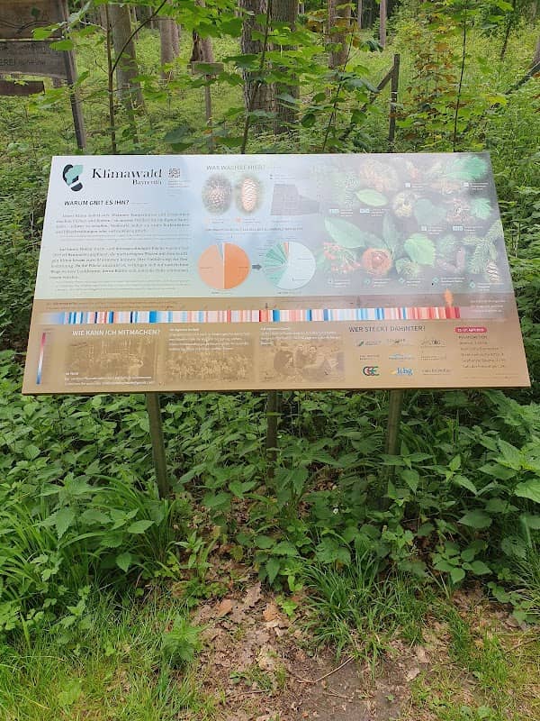 Klimawald Bayreuth 1.0 - Image 3
