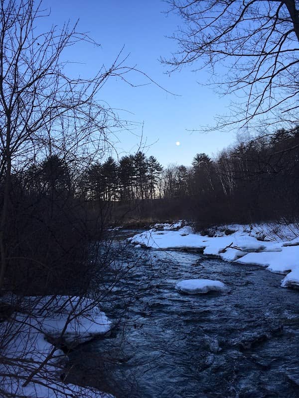 Blodget Park - Image 3