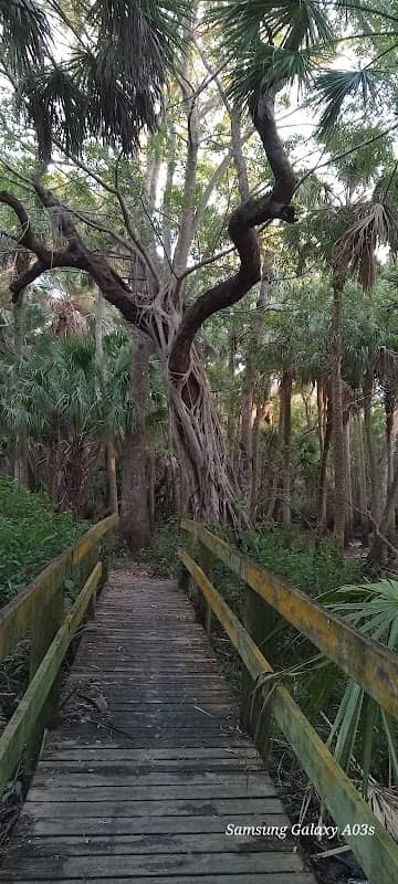 San Sebastian Park - Image 2