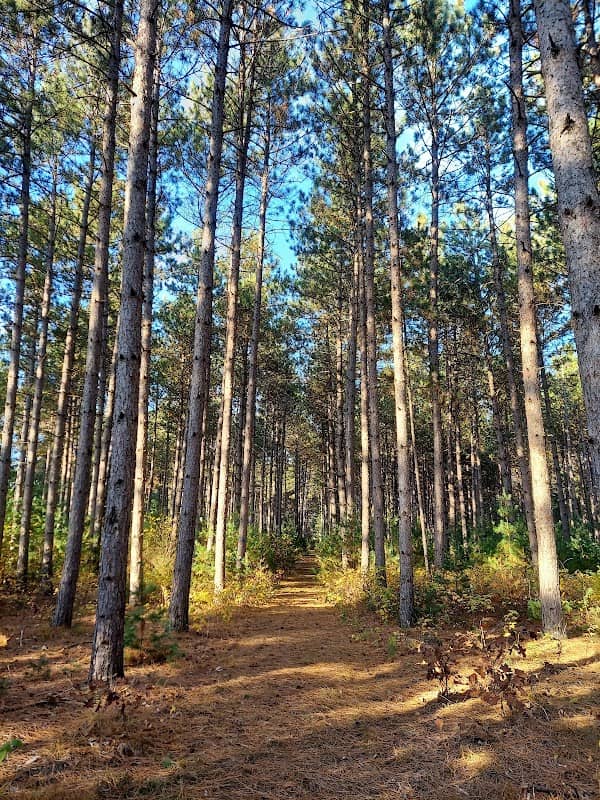 Van Kuren Recreational Trail - Image 1
