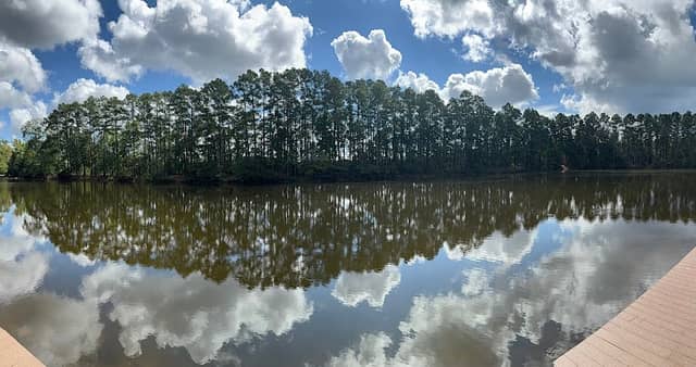 Pineywoods Camp - Image 2