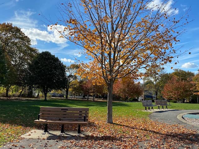 Roosevelt Park - Image 1