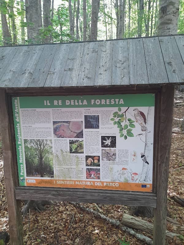 Parco regionale naturale dell'Aveto - Image 1