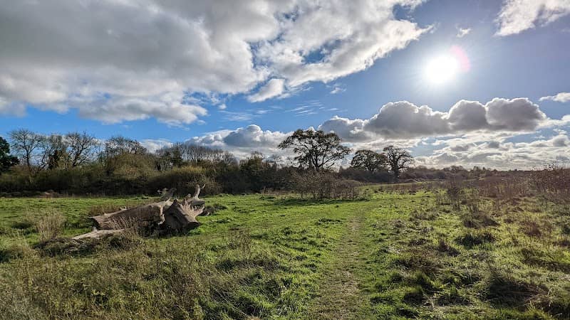 Hampshire Farm Meadows - Image 1