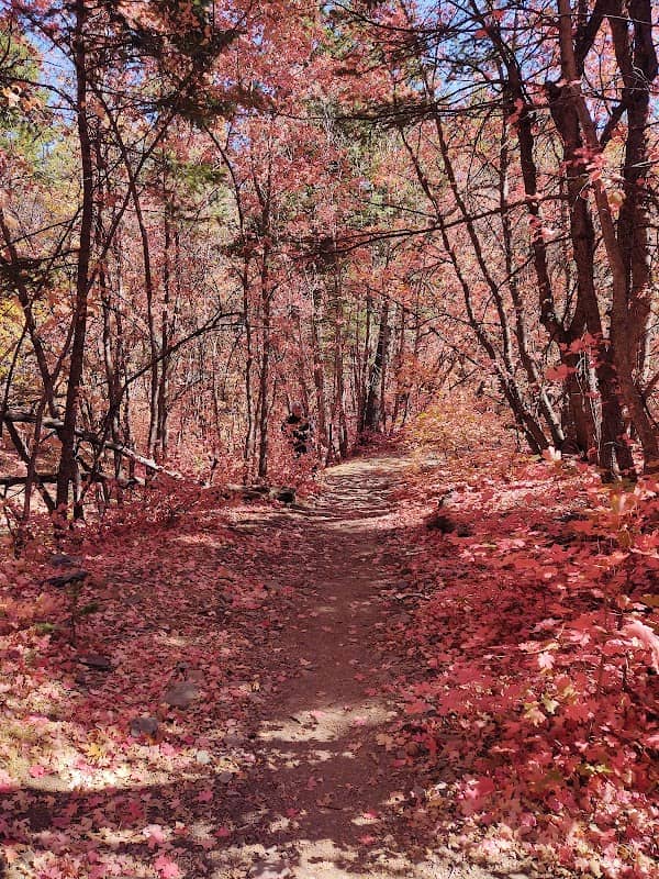 Fourth of July Trailhead - Image 1