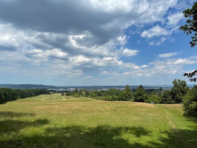 Aussichtspunkt Waldwiese - Michelsberg Blick - Image 2