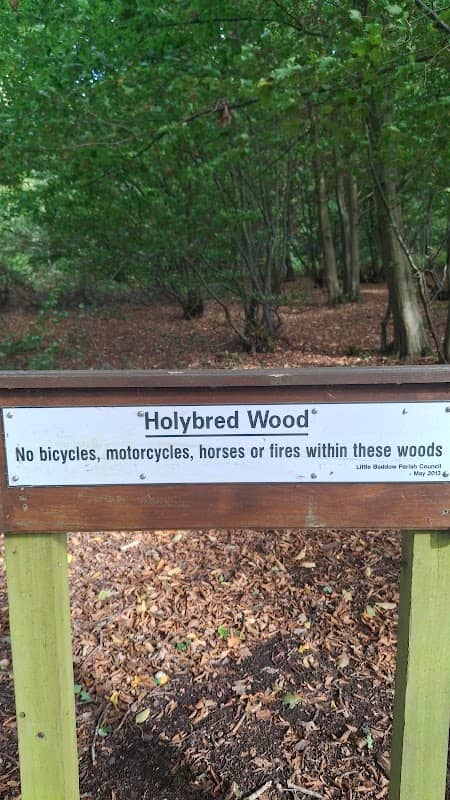 Holybred Wood - Image 1