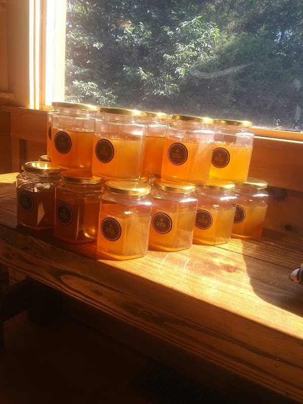 Log Cabin Honey - Image 1