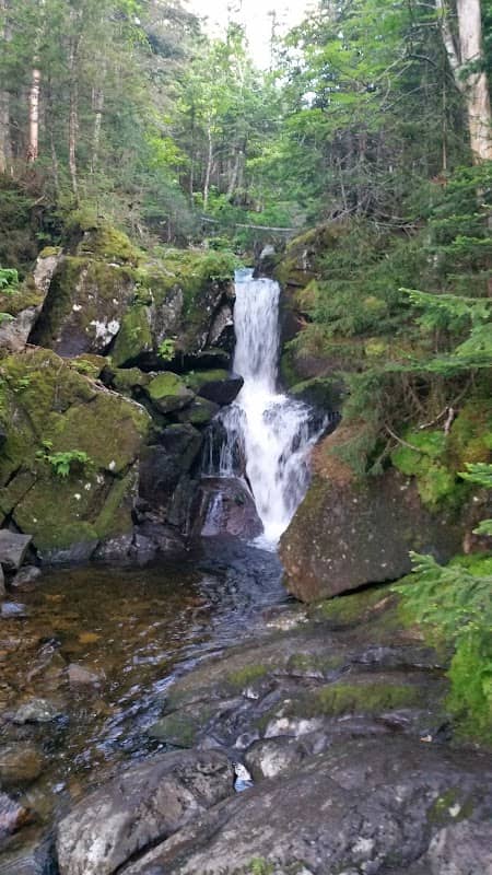 Duck Falls - Image 1