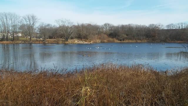Quequechan River Rail Trail - Image 2