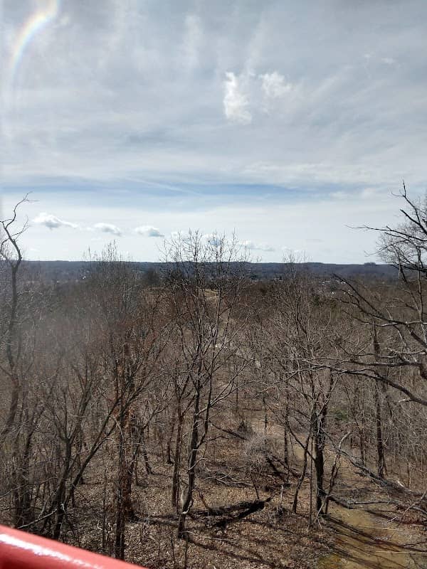 Rotary Park Outlook Tower - Image 3