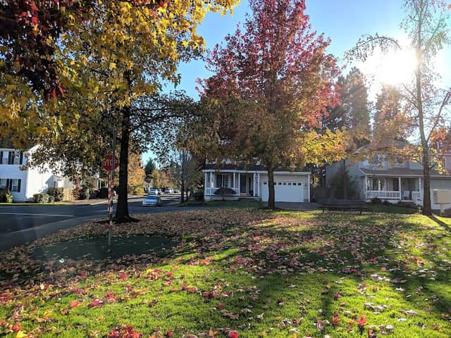 Park - Image 2