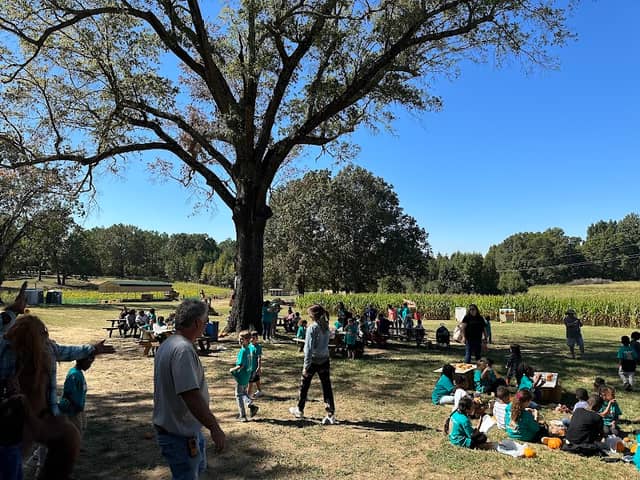 Rolling Oaks Farms Cornmaze - Image 1