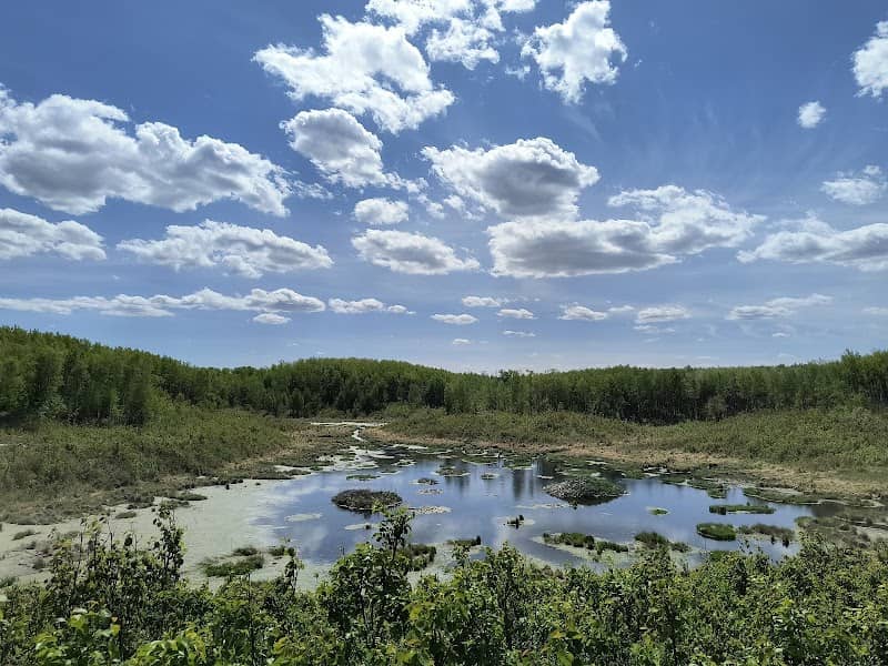 Miquelon Lake Provincial Park - Image 2