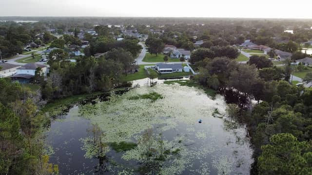 Dominican Lake - Image 1