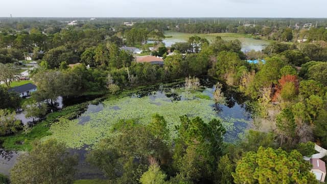 Dominican Lake - Image 2