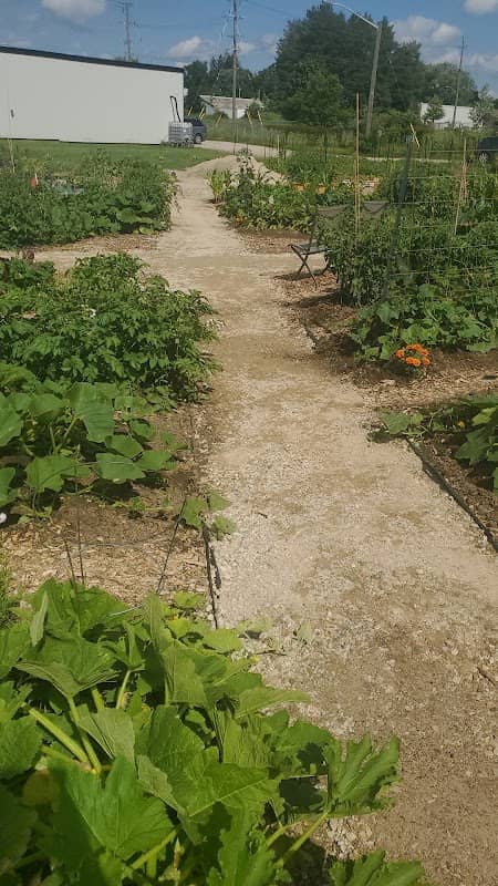 Mount Forest Community Garden - Image 1