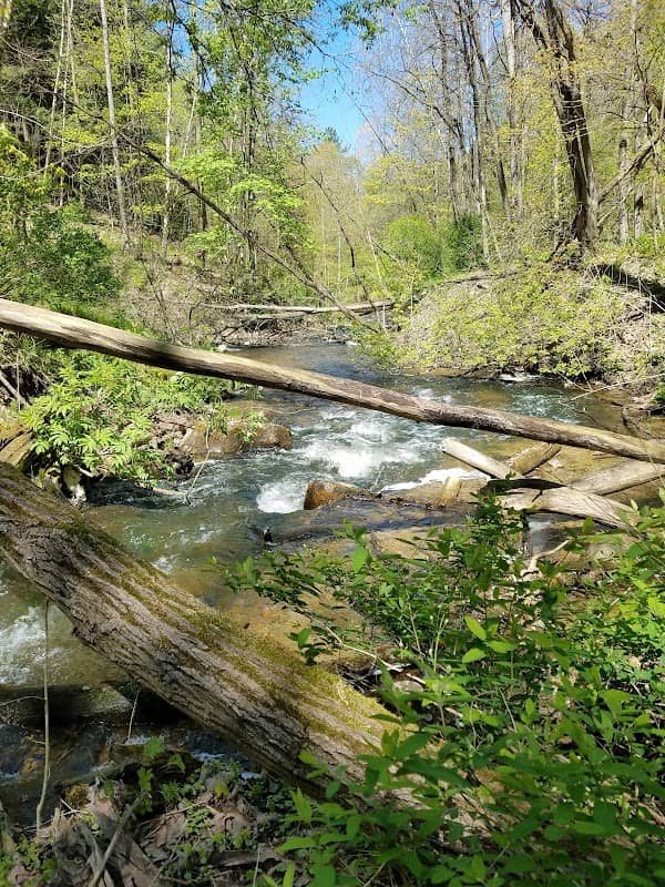 Marshall Memorial Park - Image 2