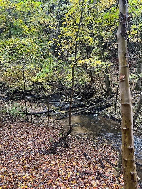 Marshall Memorial Park - Image 3