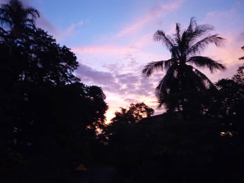 Kapalga Park - Image 1