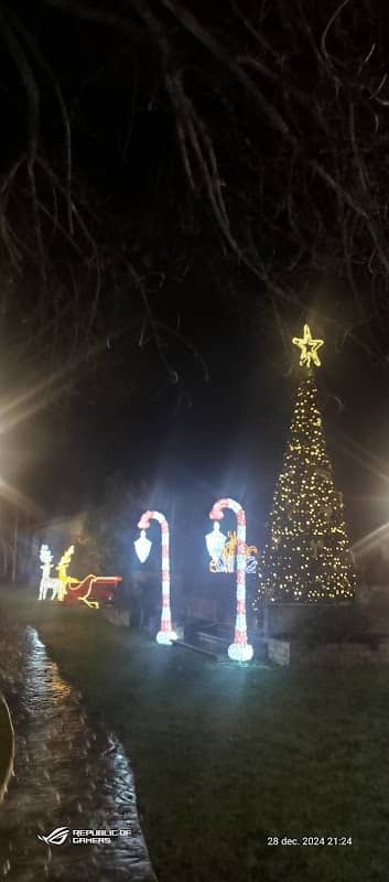 Balotesti park - Image 1