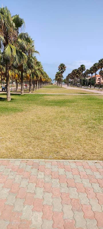 Garden of Sidi Rahal Beach - Image 1