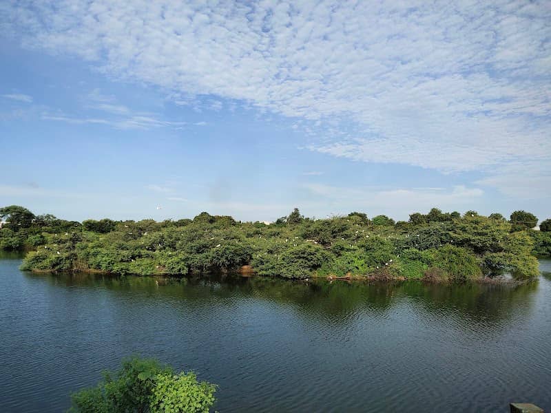 Bird watching point - Image 1