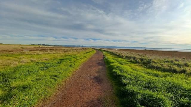 Mare Island San Pablo Bay Hiking Trail - Image 2