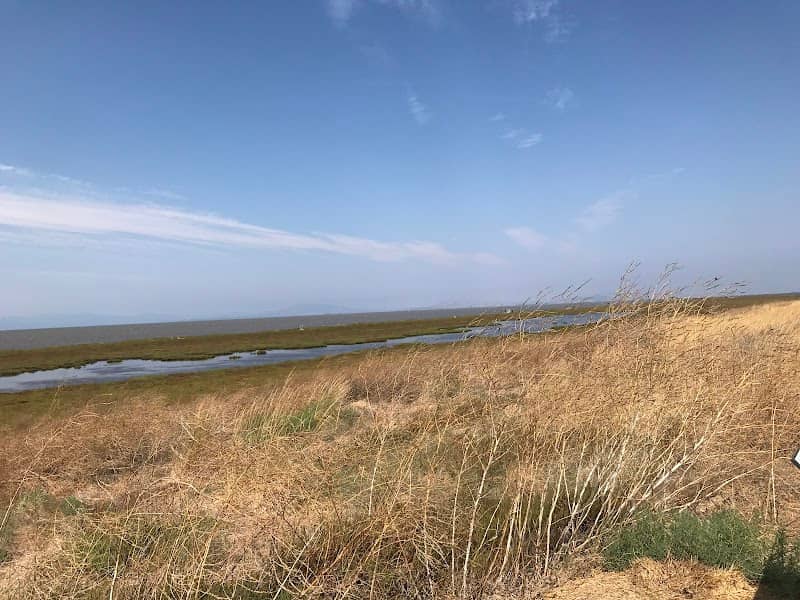 Mare Island San Pablo Bay Hiking Trail - Image 3