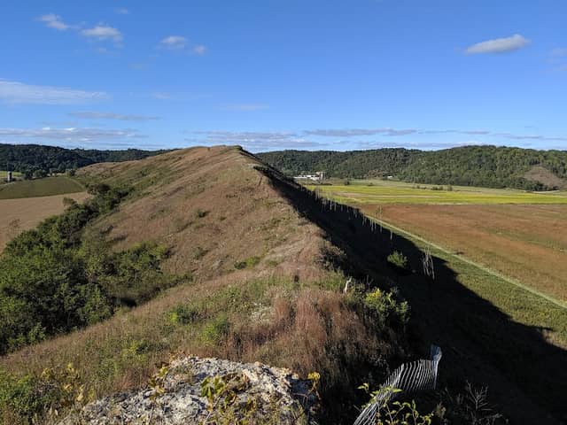 Hogback Prairie State Natural Area - Image 2