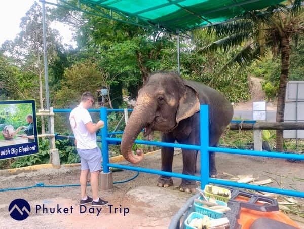 Phuket Day Trip - Image 1