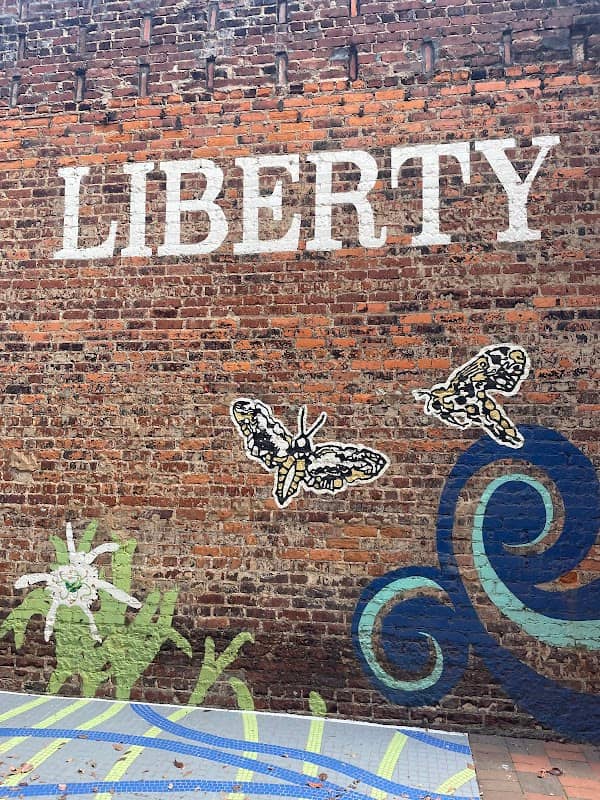 Freedom Walkway - Image 2