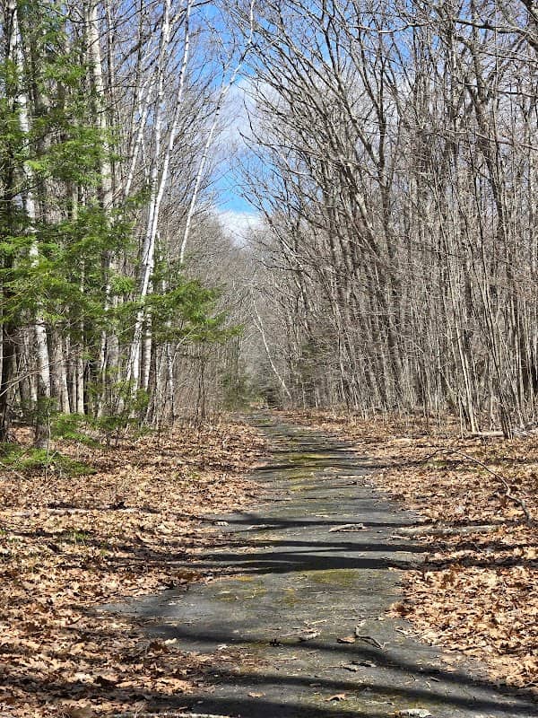 Kim's scenic stop and walk - Image 2